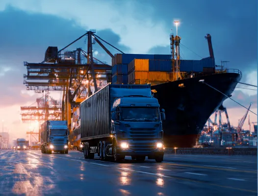 Customs Clearance Expertise